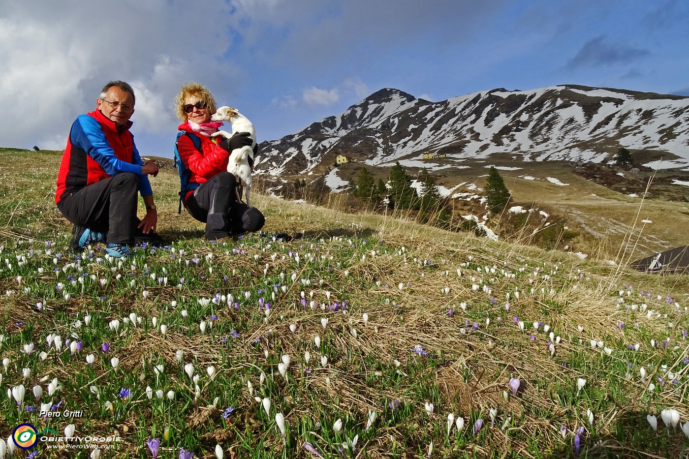 92 Zafferano alpino (Crocus albiflorus) con Sodadura.JPG -                                